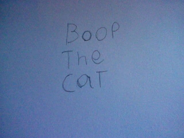 boop the cat