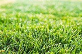 GrassRunner