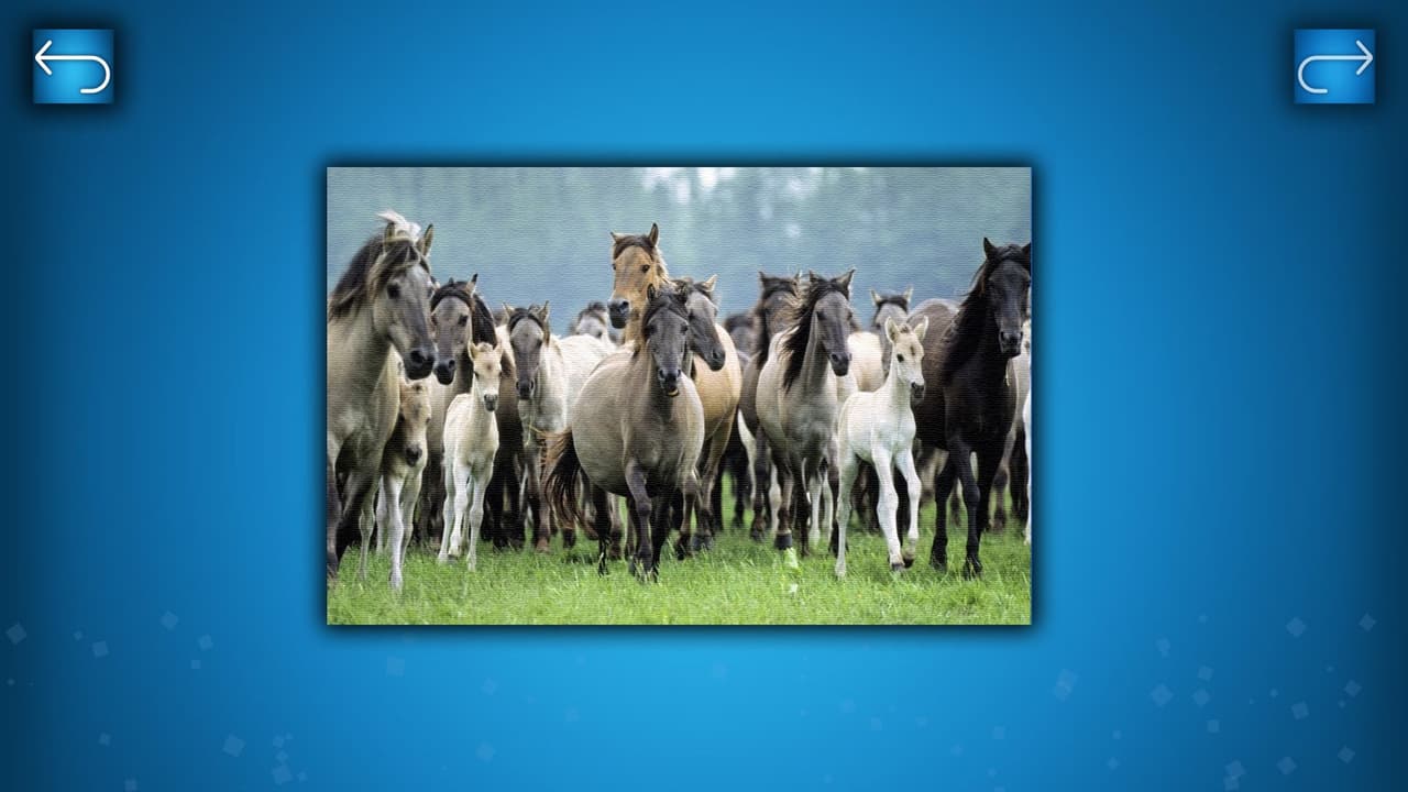 PUZZLE: ANIMALS screenshot 5