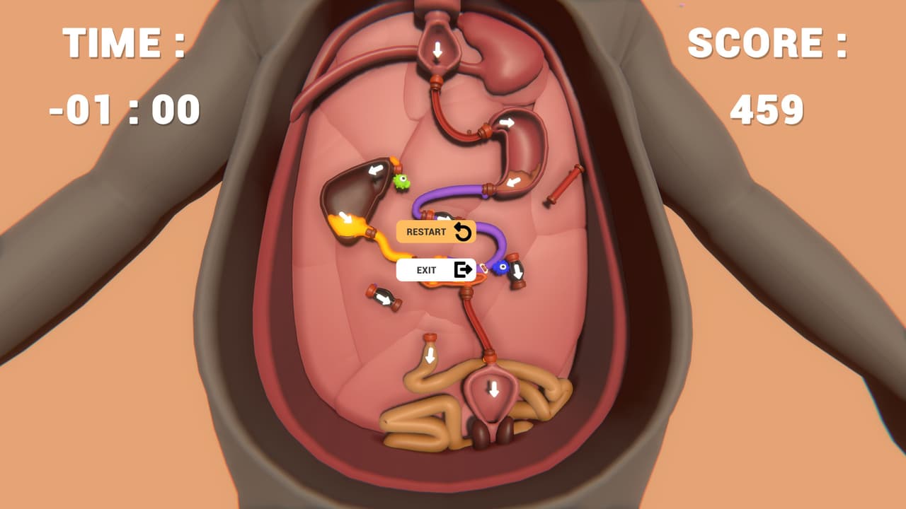 Almost Accurate Body Simulation (AABS)