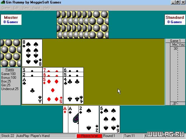 Meggiesoft Pinochle