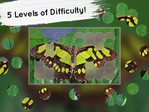 Venn Butterflies: Overlapping Jigsaw Puzzles screenshot 3