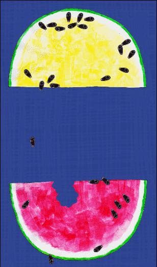 More or Less Entirely Seedless Watermelon
