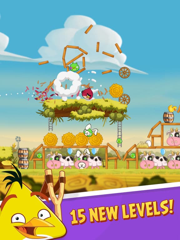 Angry Birds HD screenshot 3