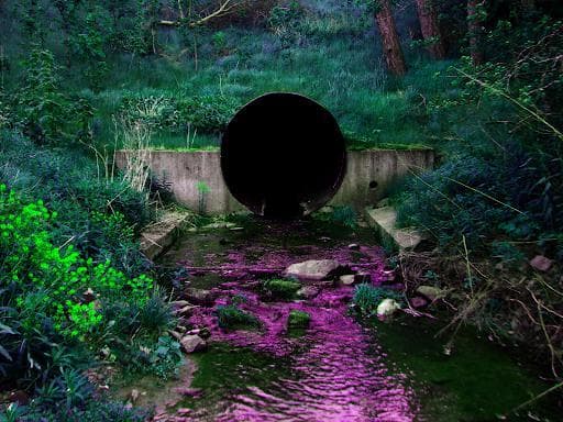 The Creek