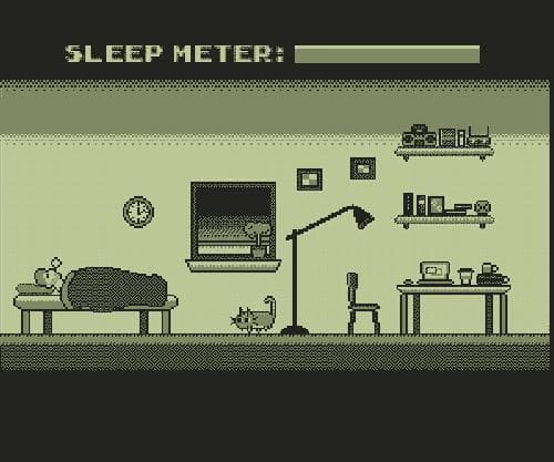 My Garbage Cat Wakes Me Up At 3AM Every Day