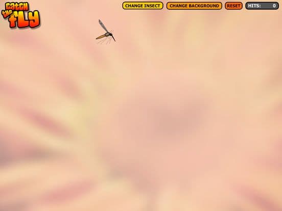 Catch the Fly Cat Game
