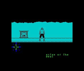 Tir Na Nog screenshot 6