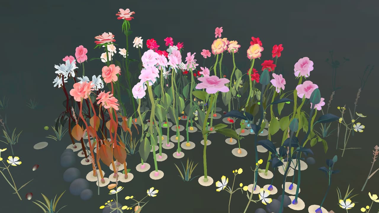 The Rose Garden