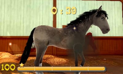 My Riding Stables 3D - Jumping for the Team screenshot 5