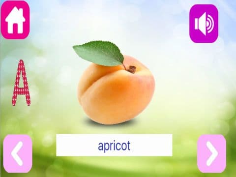 Fruit Flash Cards for PreSchool Kids with ABC Puzzle screenshot 3