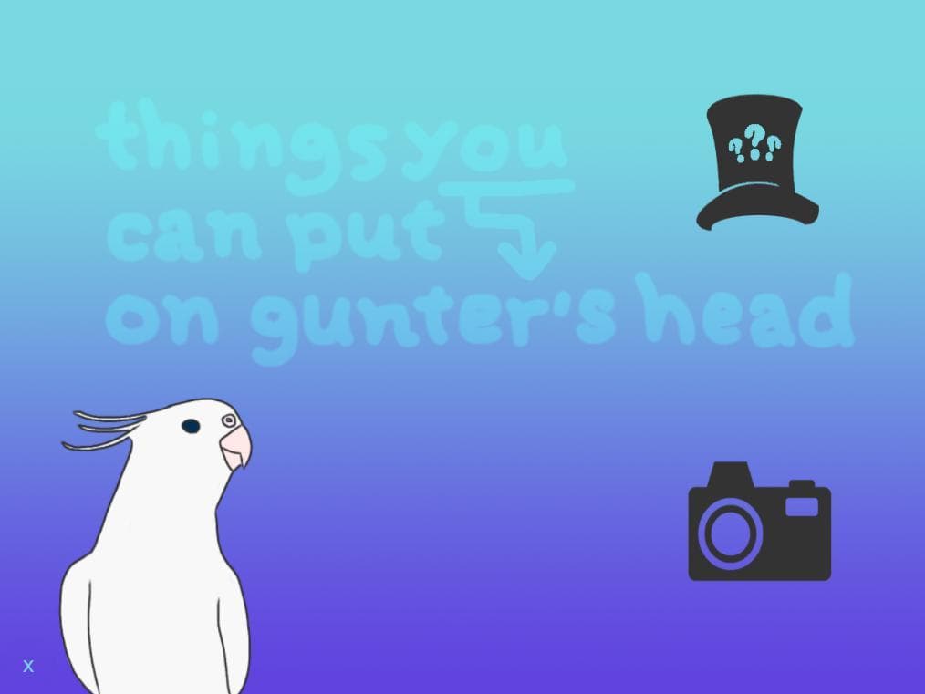 things you can put on gunters head screenshot 2