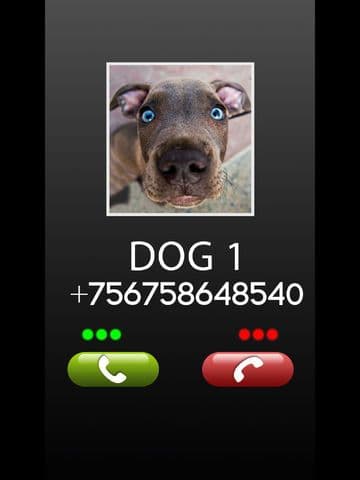 Fake Call Dog Prank