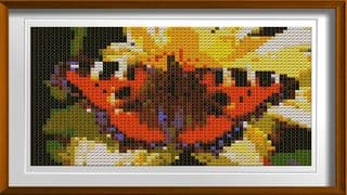 Cross Stitching Butterfly