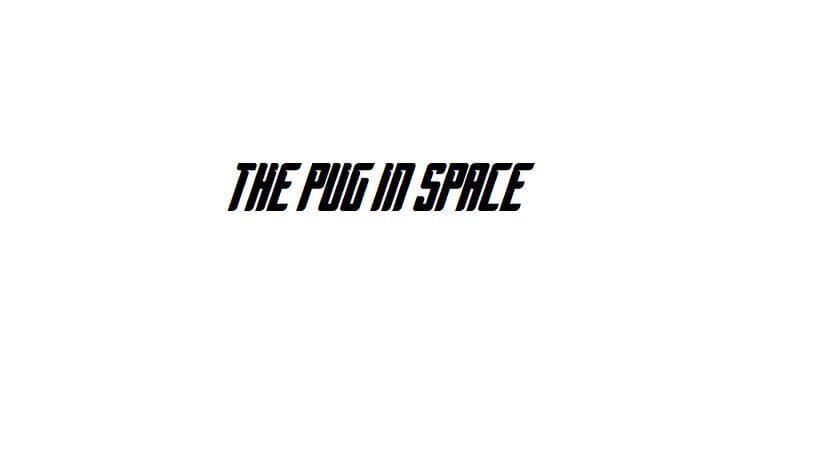 The Pug In Space