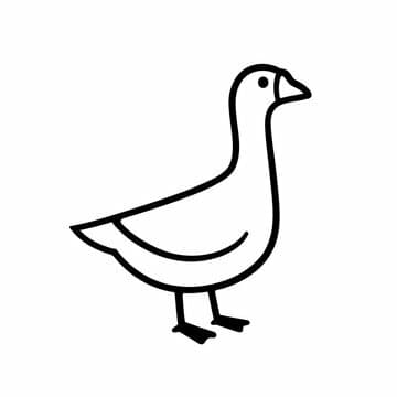 A Day Of A Goose