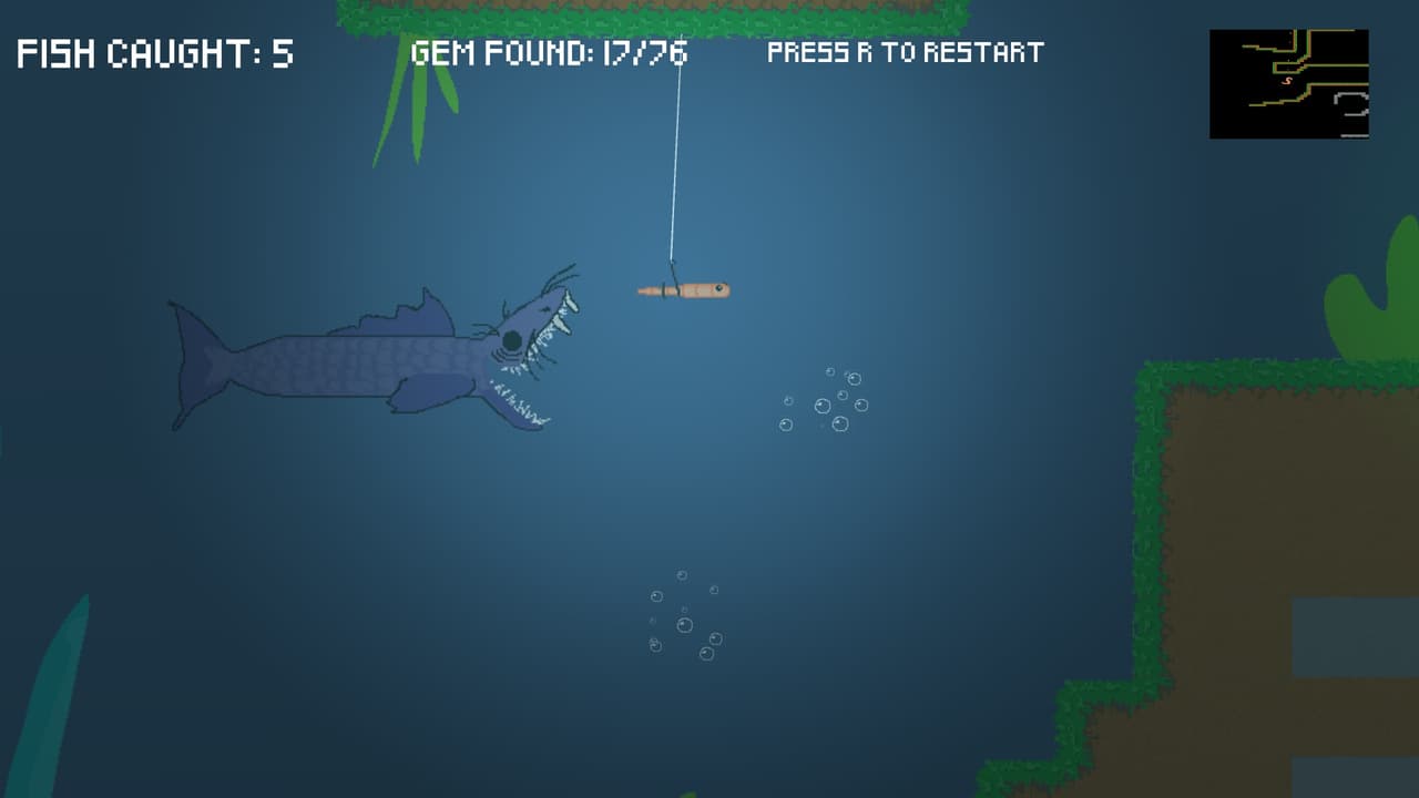 The Fishing