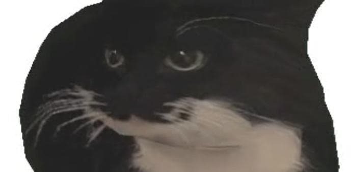 Maxwell The Carryable Cat screenshot 3