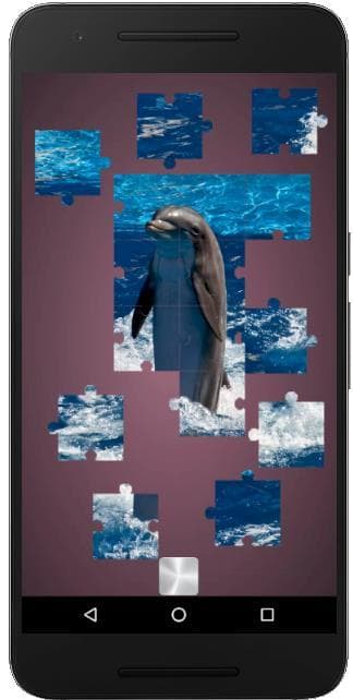 Real Dolphins Game: Jigsaw Puzzle 2019 screenshot 3