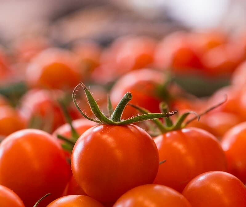 Salade de tomates cerise