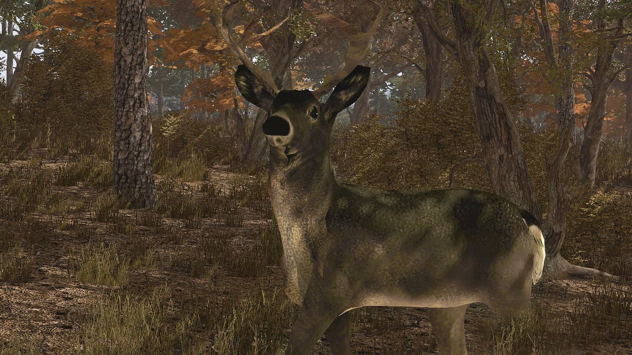 Pro Deer Hunting screenshot 5