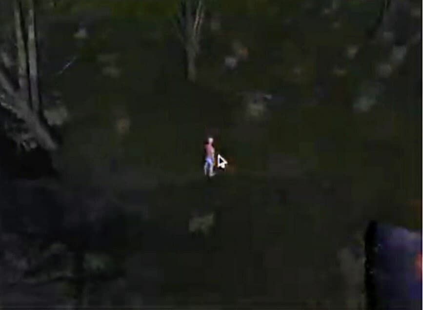 Midnight Stalker (alpha version)