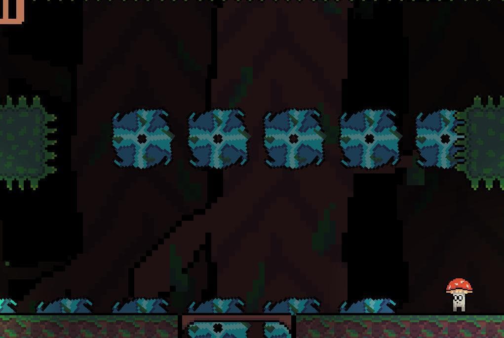 Mushroom lands