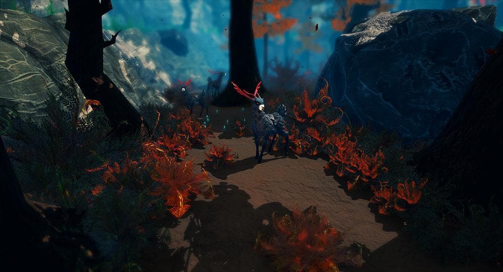 Feral