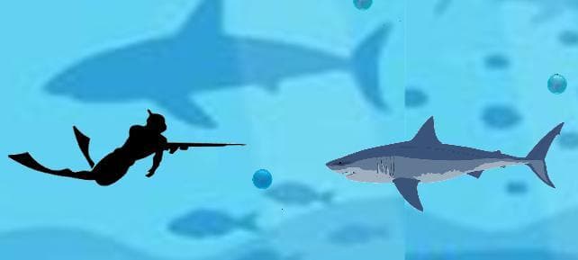 Spearfishing Life