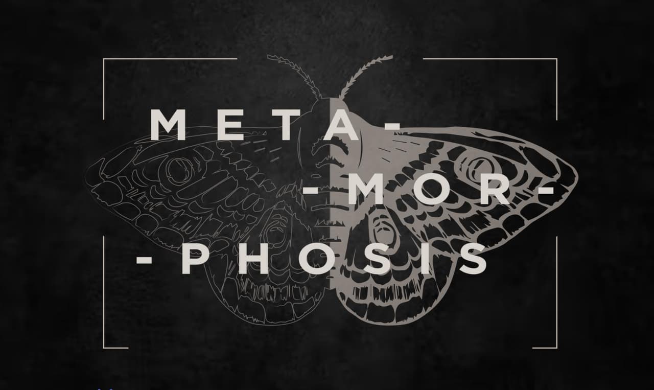 Metamorphosis (itch) (eduardojlira)