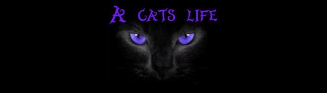A cats life
