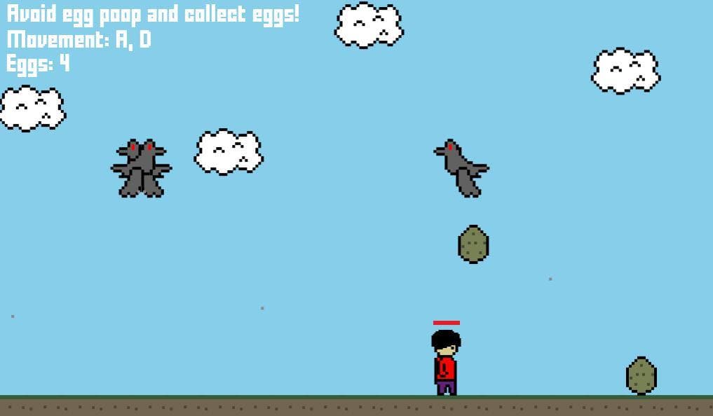 Bird Problems