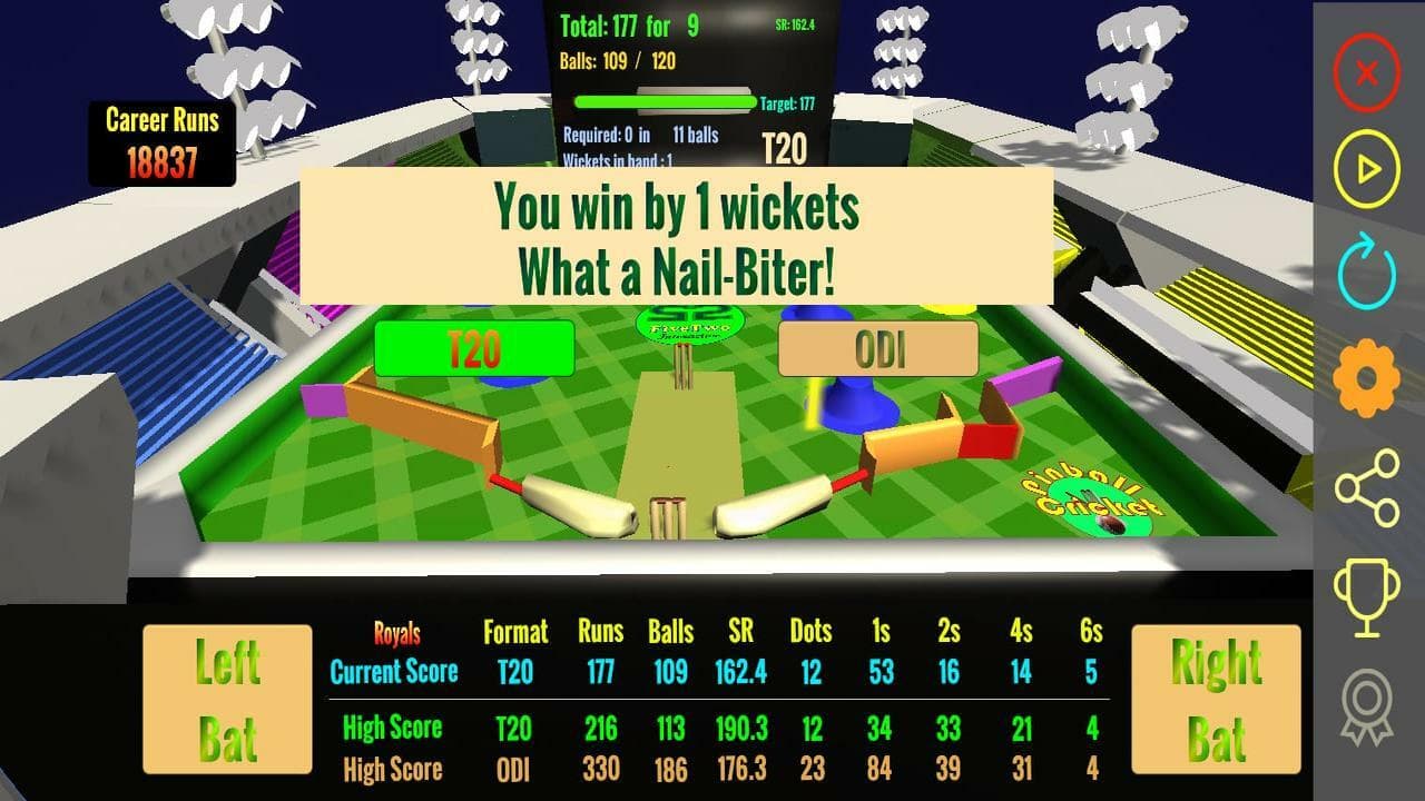 PinBall Cricket screenshot 6