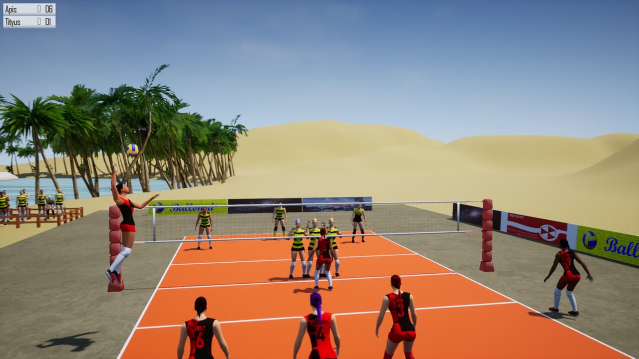 Lactea Volleyball screenshot 4