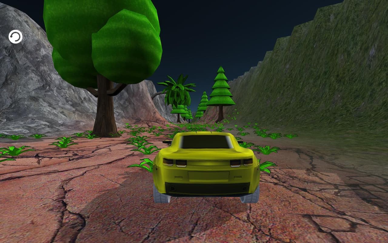 BirDrunCar screenshot 5