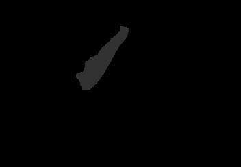 STRONG GUN(for ios and android