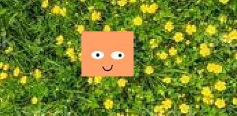 square simulator