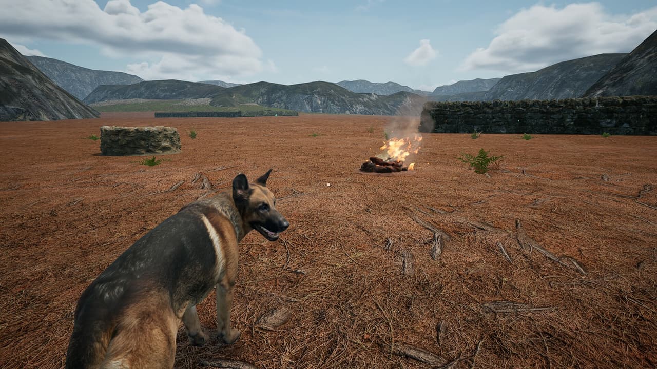 Dog_Fox_Bunny