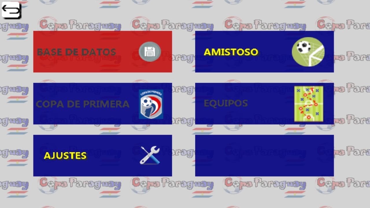 Copa Paraguay screenshot 2