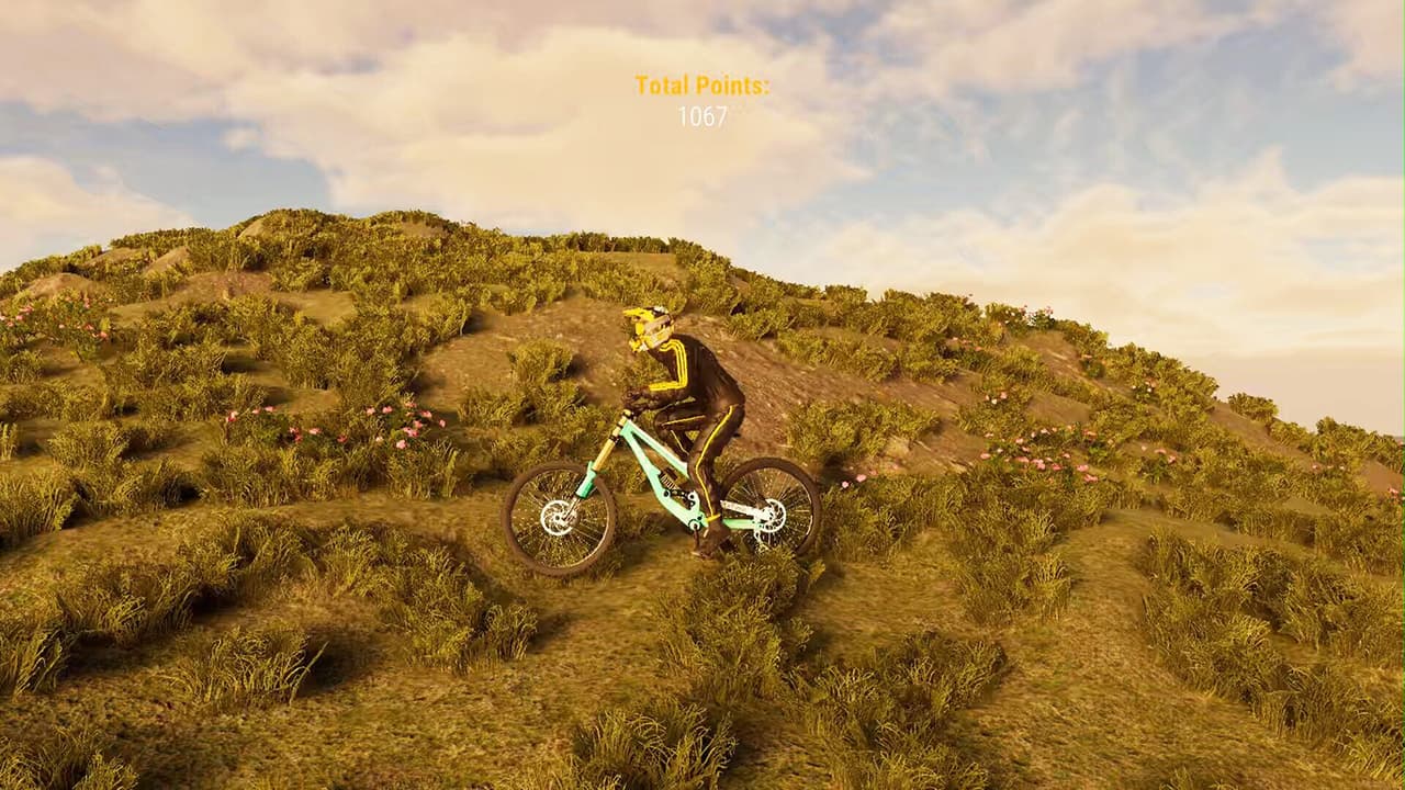 BMX Wild Run