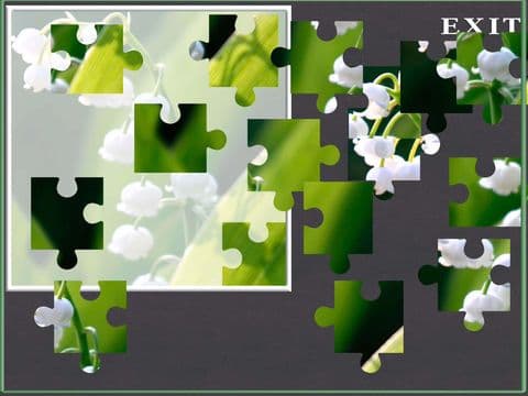 A Flower Puzzle Game