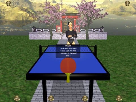 Zen Table Tennis screenshot 4