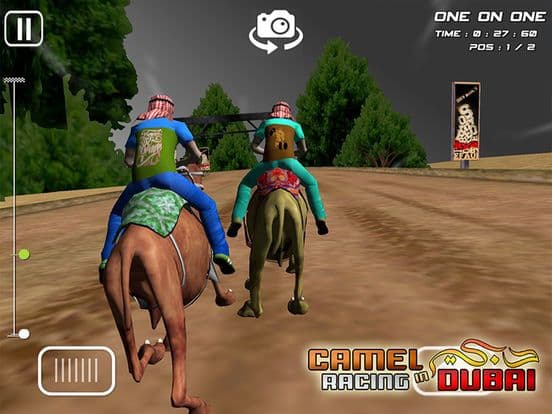 Camel Racing in Dubai - Extreme UAE Desert Race