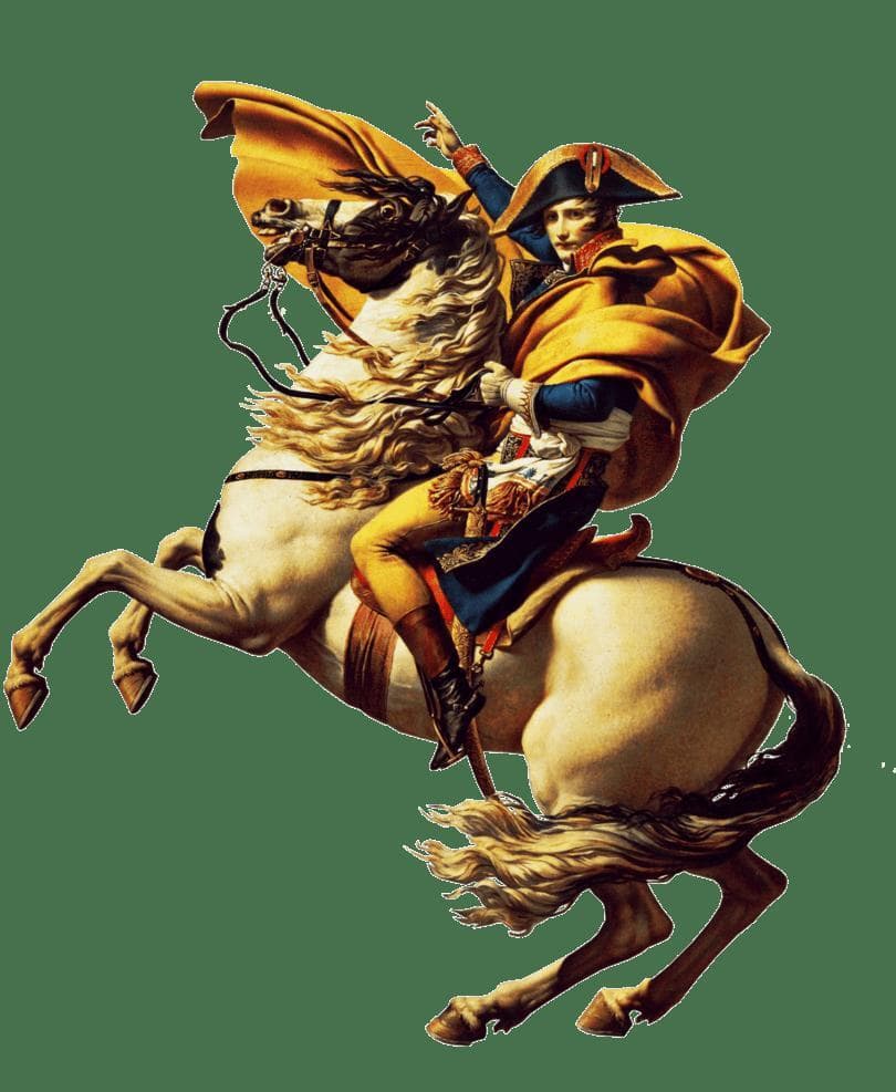 Napoleon School Project
