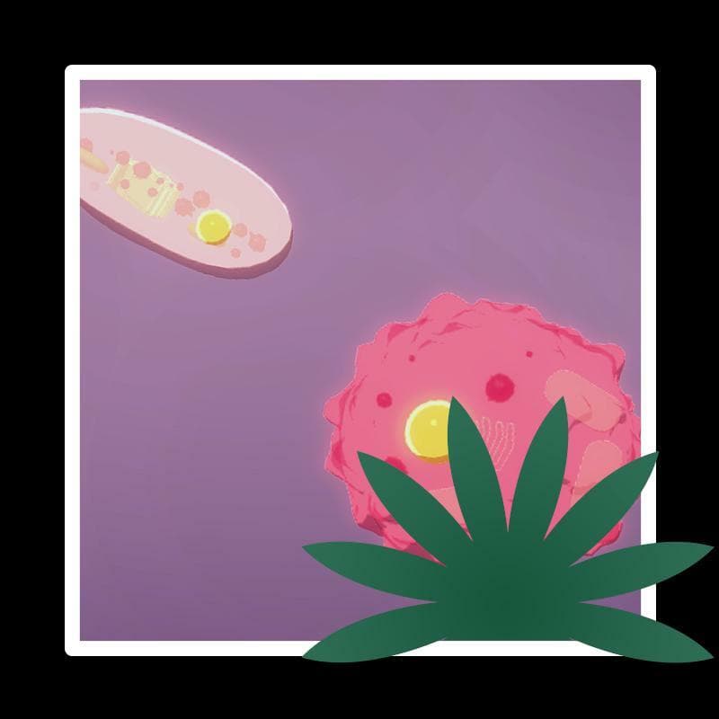 Wonders of Life screenshot 2