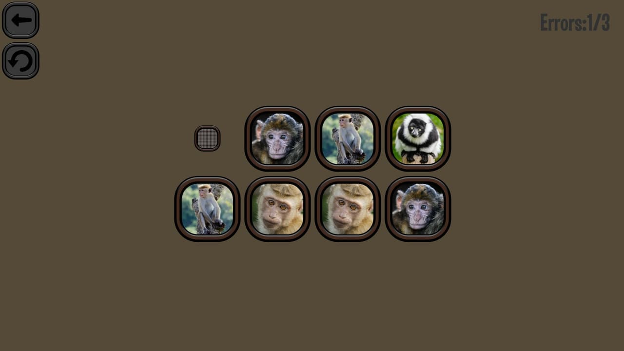 Animals Memory: Monkeys