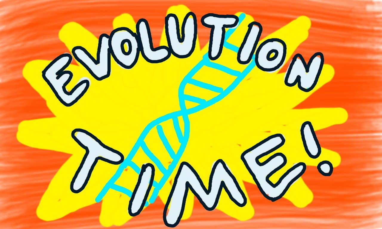 Evolution Time
