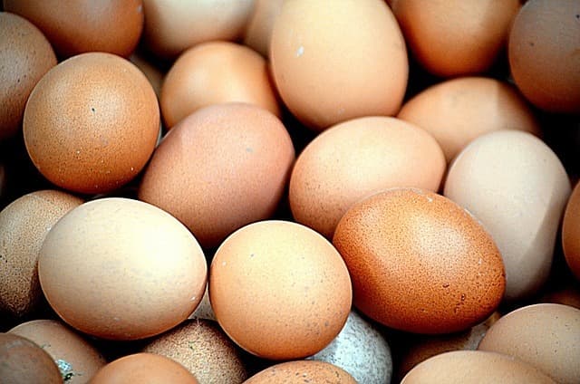 Thin Eggs