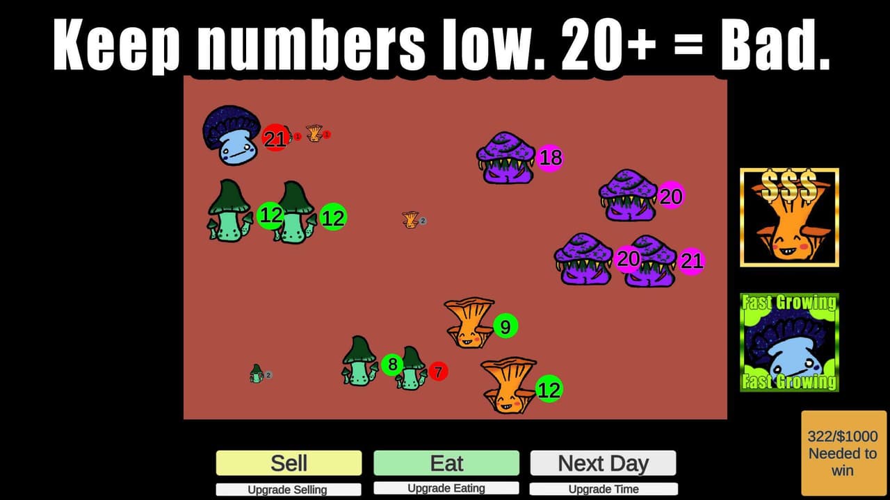 Mushroom farm