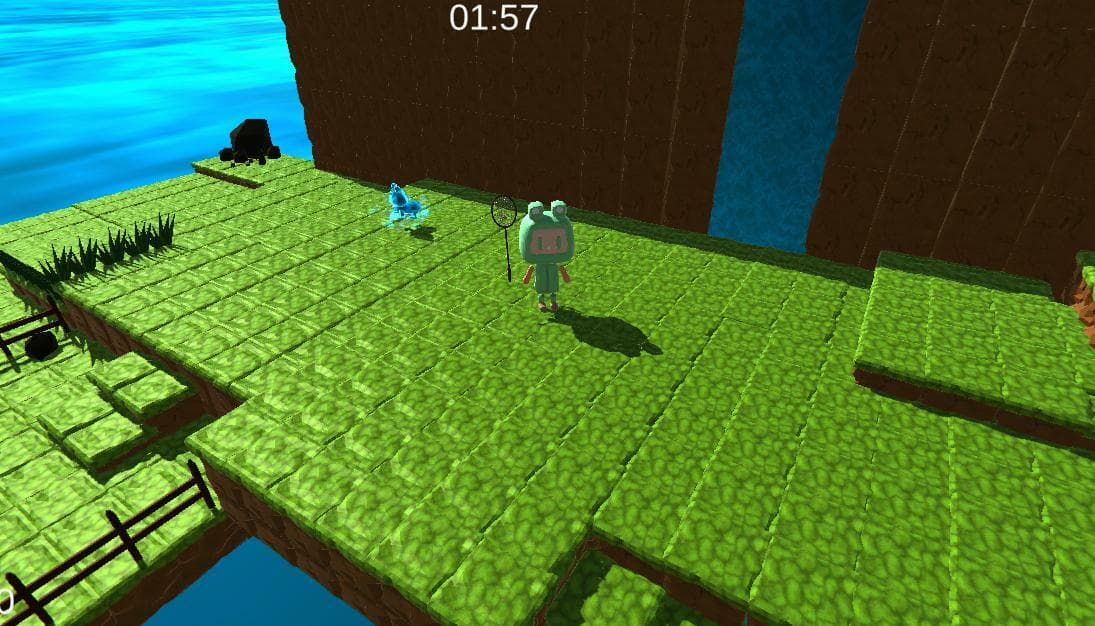 Frog Capture
